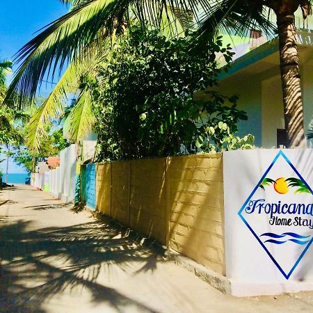 Tropicana Home Stay Arugam Bay Luaran gambar