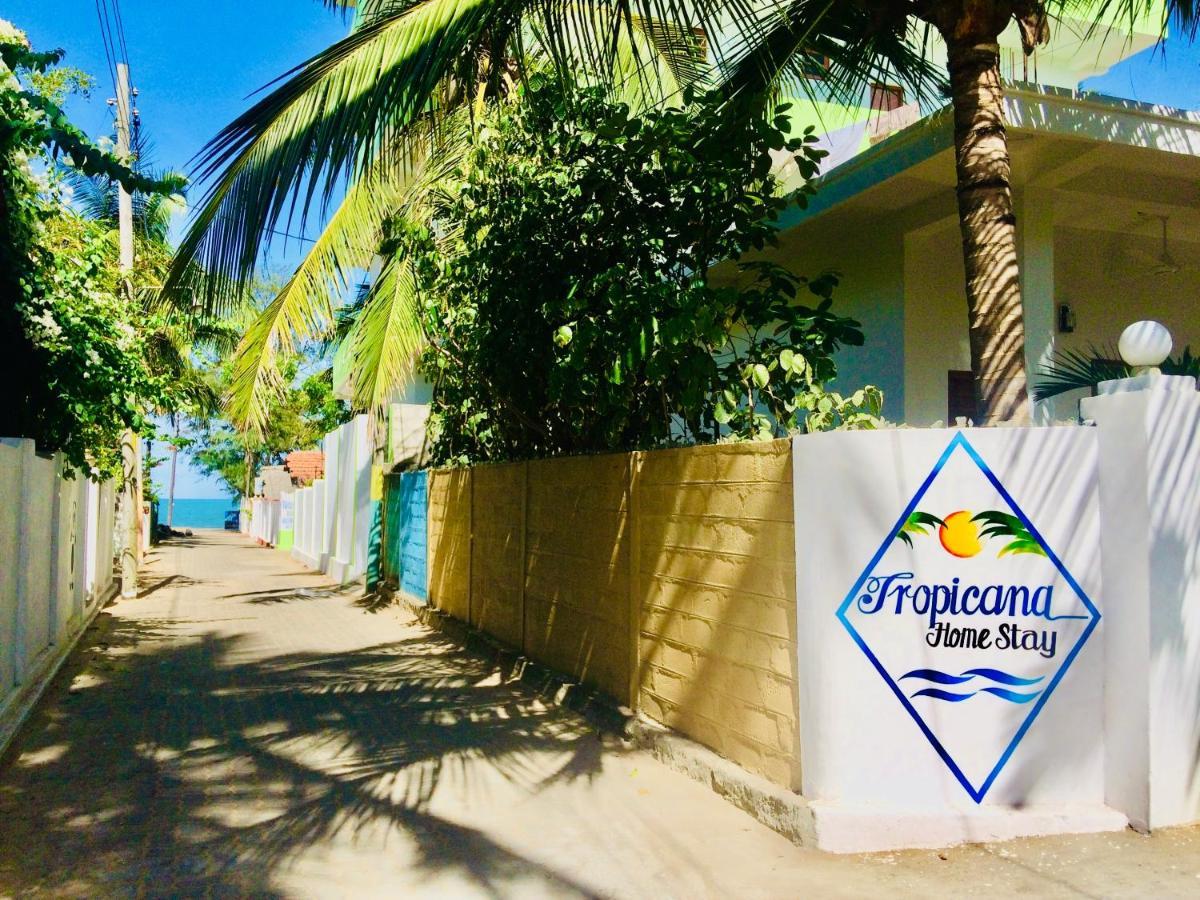 Tropicana Home Stay Arugam Bay Luaran gambar