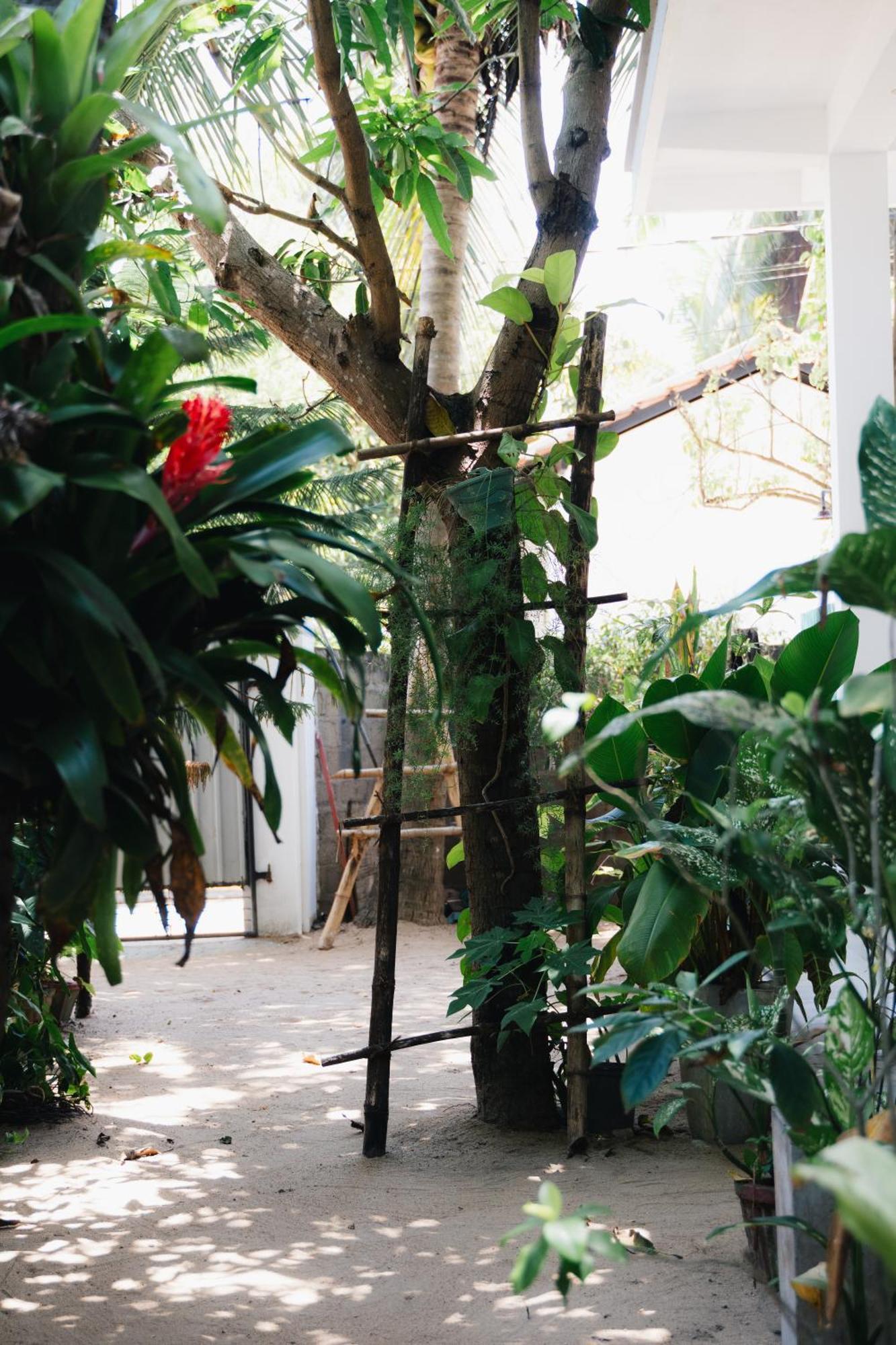 Tropicana Home Stay Arugam Bay Luaran gambar
