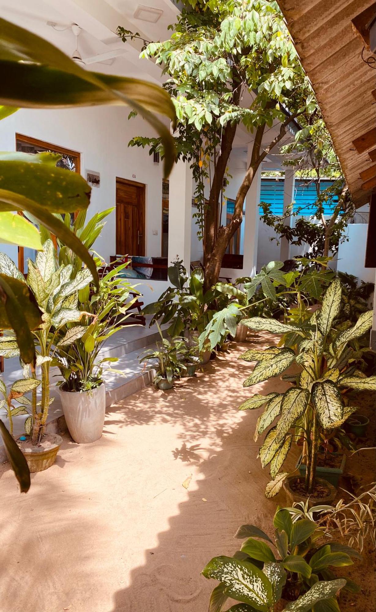 Tropicana Home Stay Arugam Bay Luaran gambar